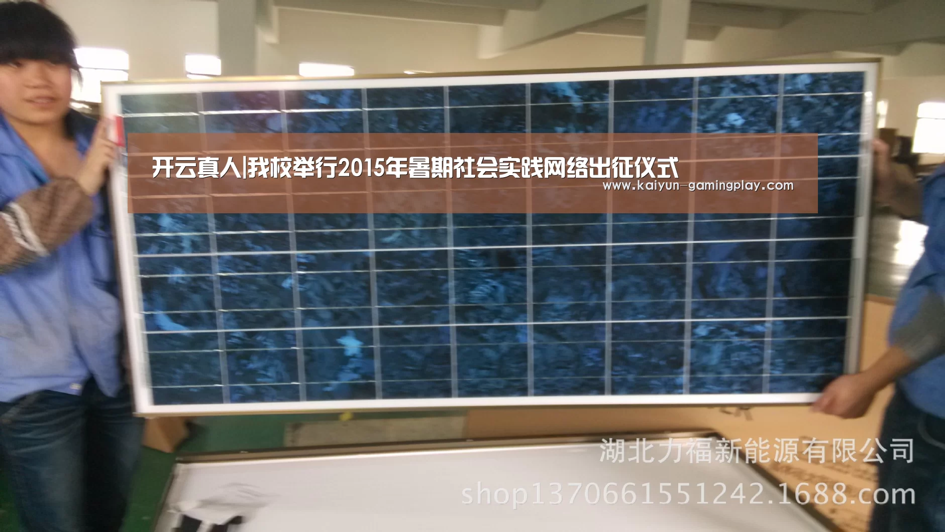 开云真人