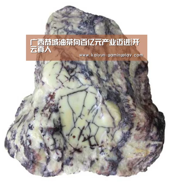 广西恭城油茶向百亿元产业迈进|开云真人(图4) 开云平台