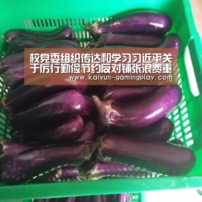 开云真人