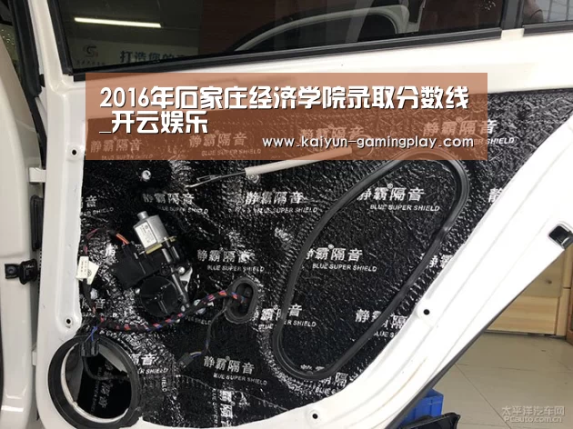 2016年石家庄经济学院录取分数线_开云娱乐(图2) 开云平台